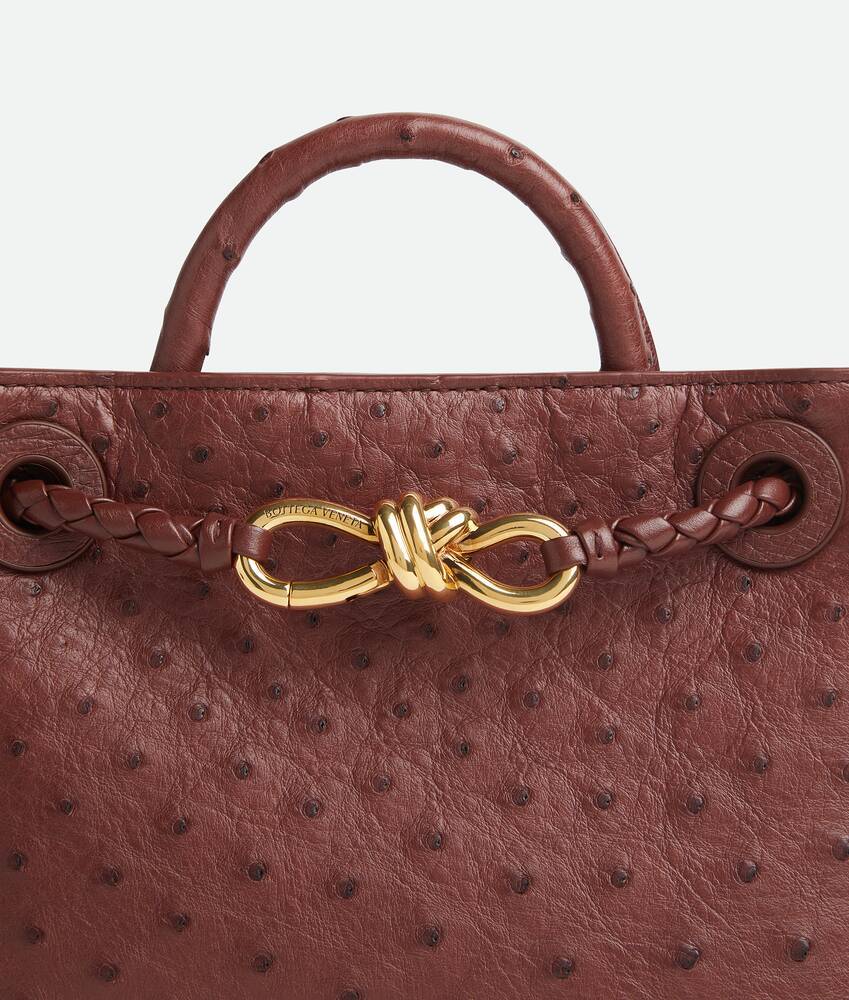 Bottega Veneta Mini Andiamo In Red