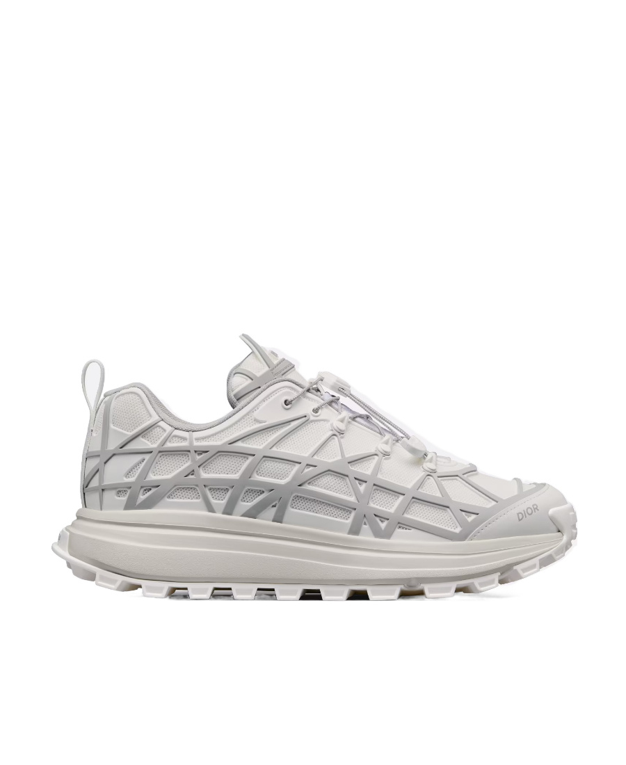 Dior B31 Low-top Leisure Sneakers In Gray