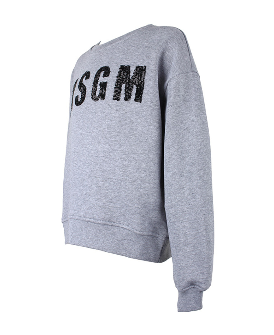 Msgm Logo Sweater In Gray