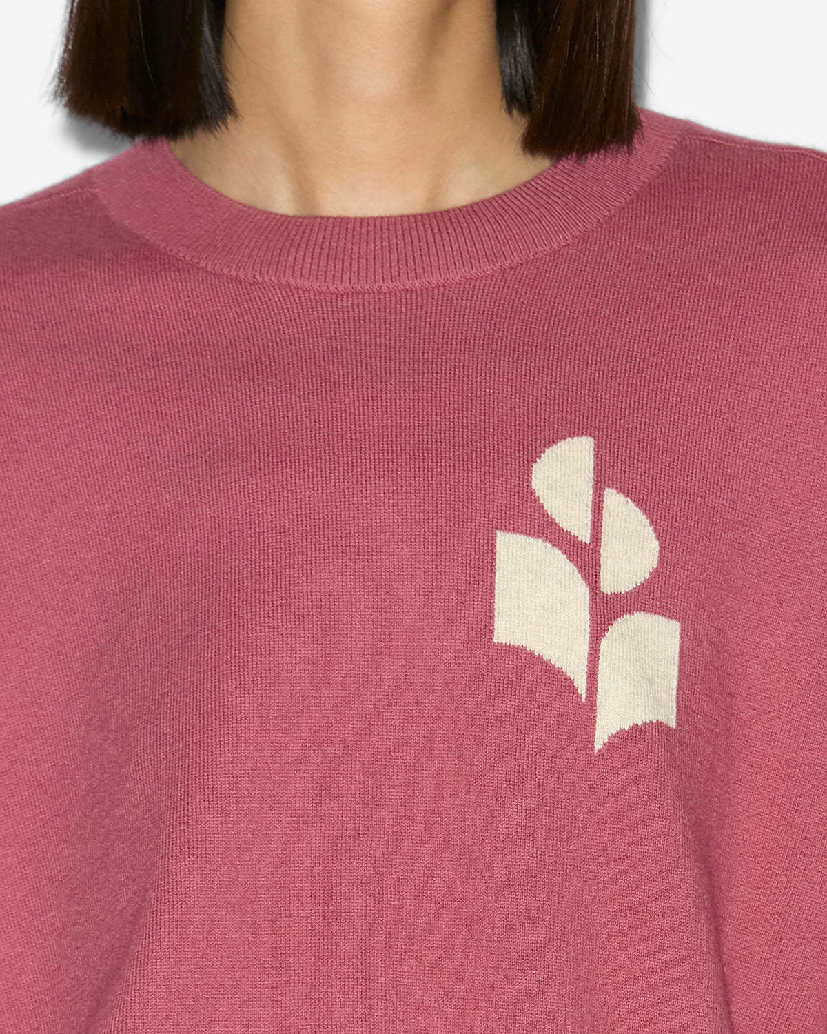 Isabel Marant Étoile Marisans Cotton And Wool Sweater With Logo In Pink