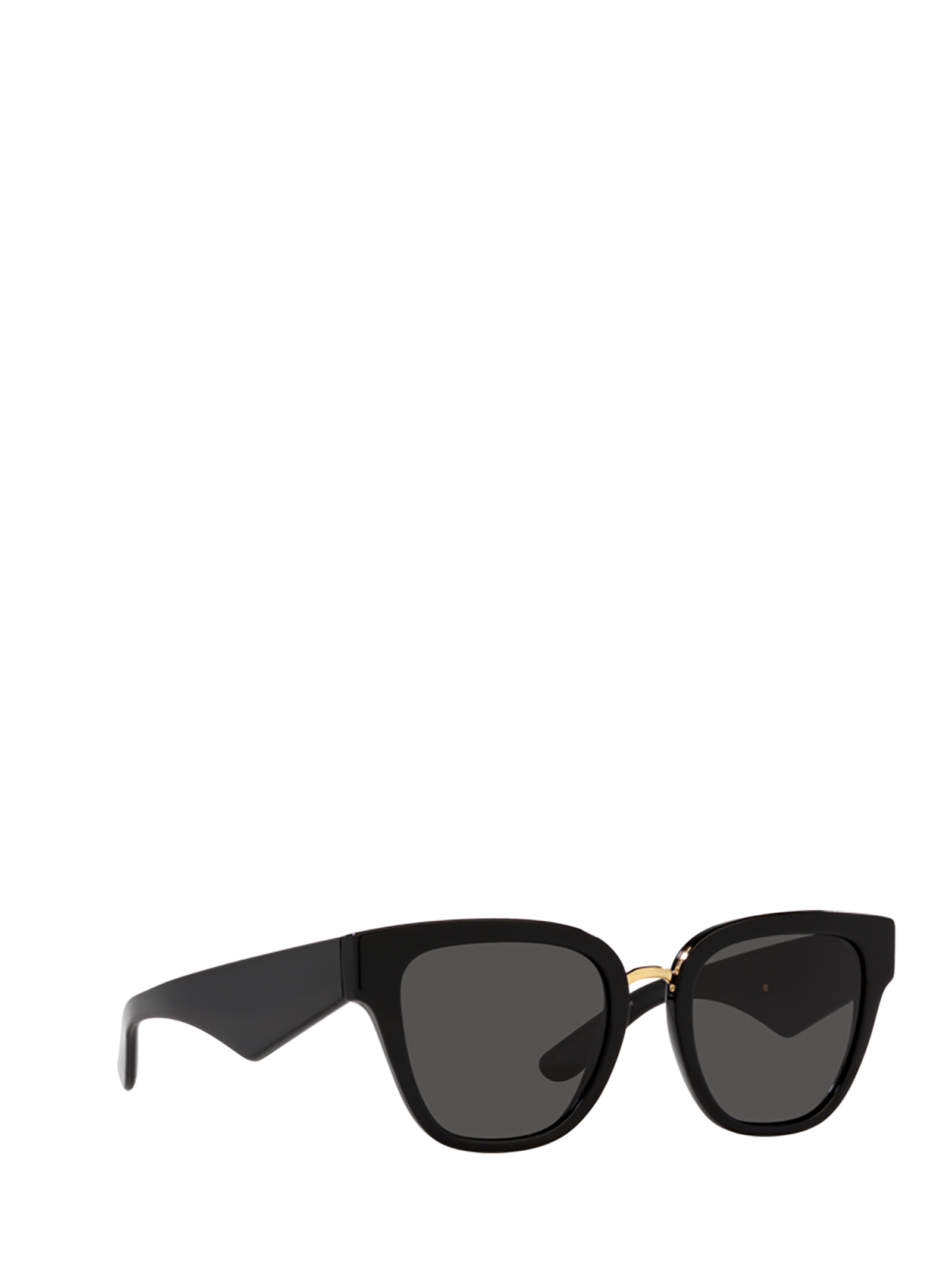 Dolce & Gabbana Dg Acetate & Plastic Butterfly Sunglasses In Black