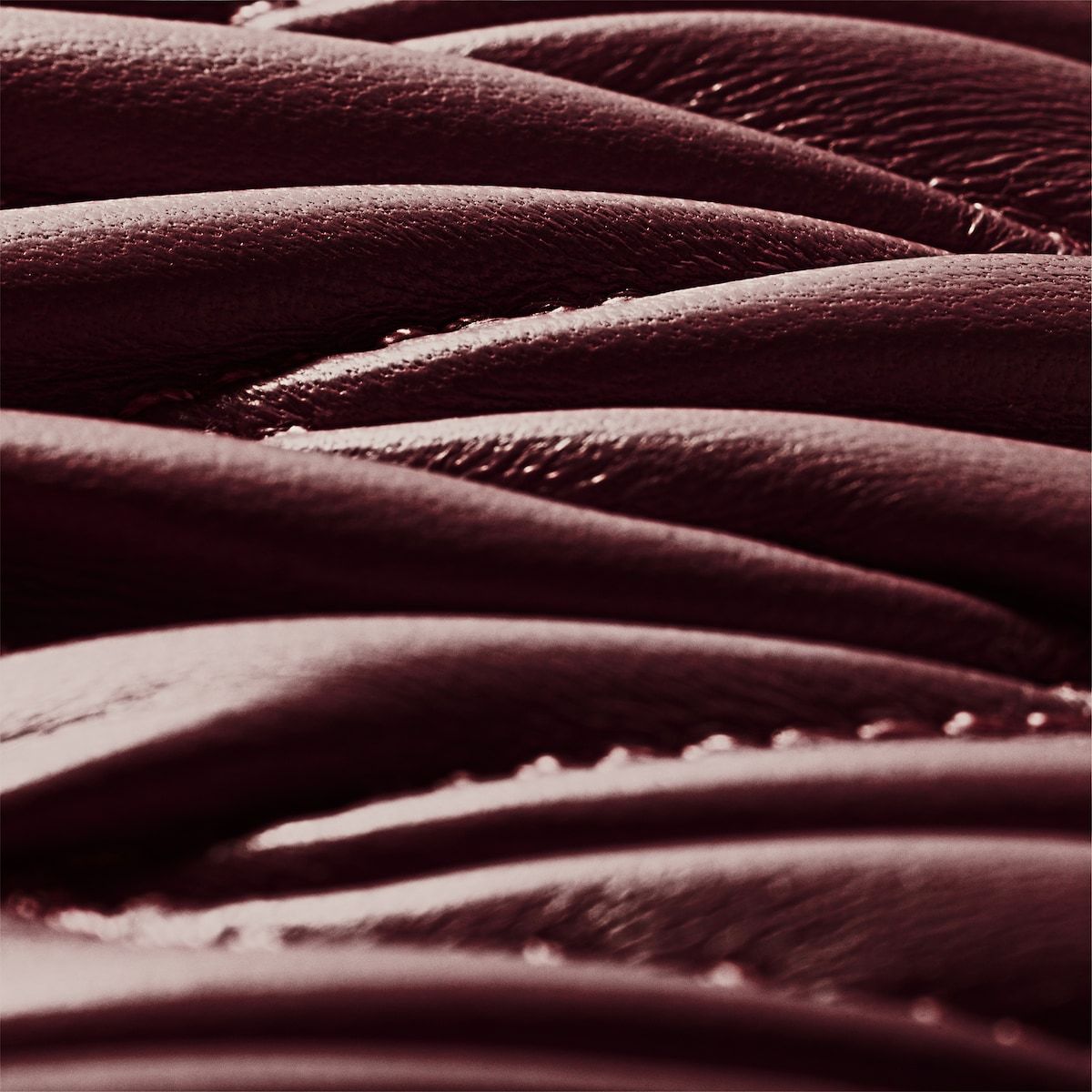 Miu Miu Small Logo Wallet In Burgundy