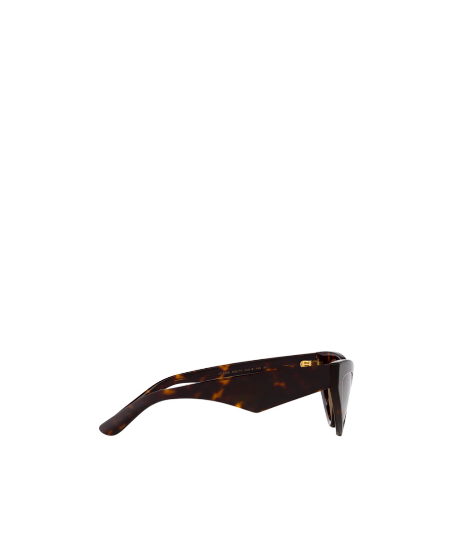 Dolce & Gabbana Cat-eye Frame Sunglasses In Brown