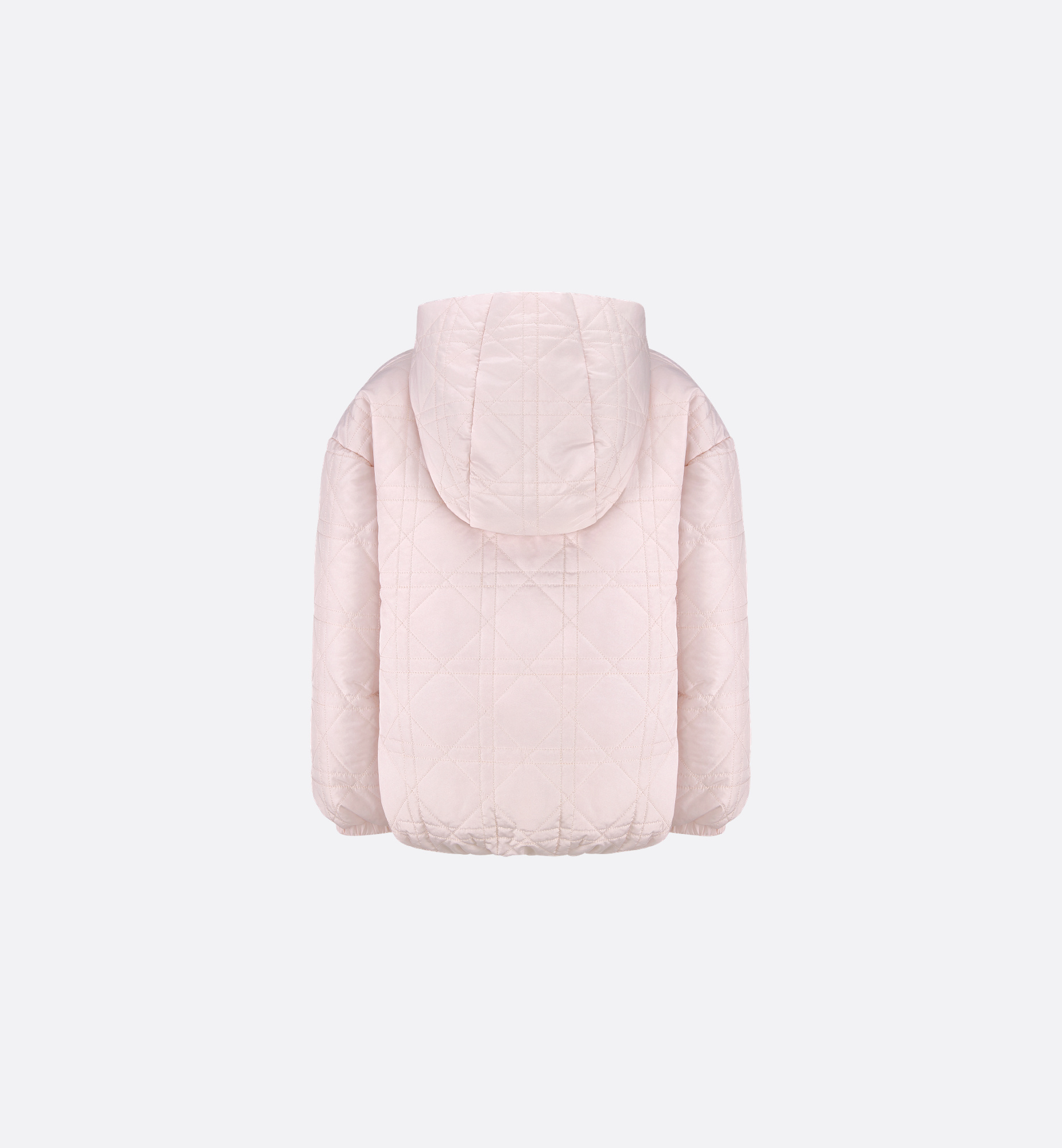 Dior Hooded Down Jacket In Pink