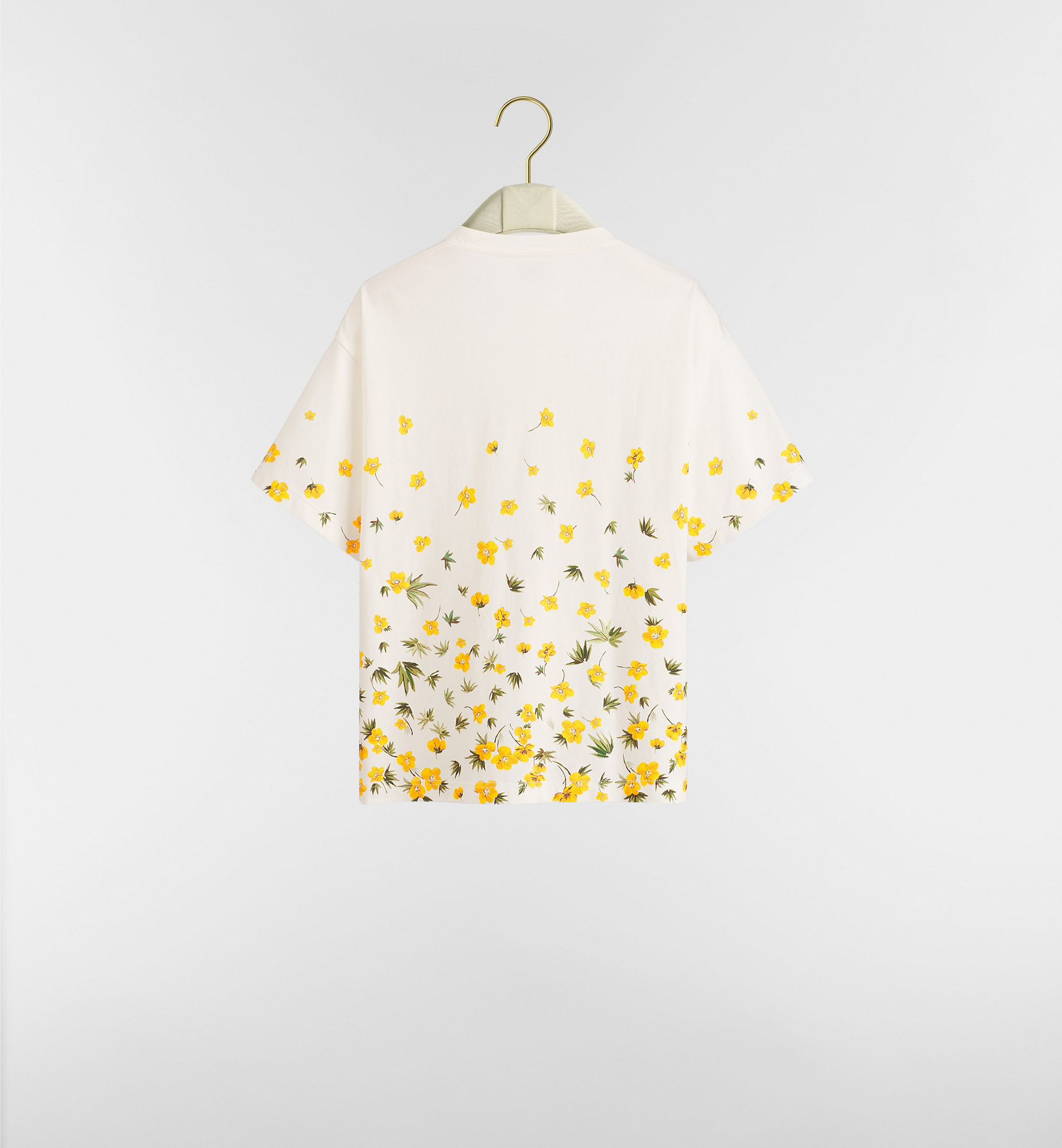 Dior Oversized Cropped T-shirt In Multi
