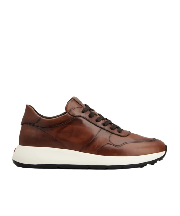 Tod's Leather Sneakers In Brown