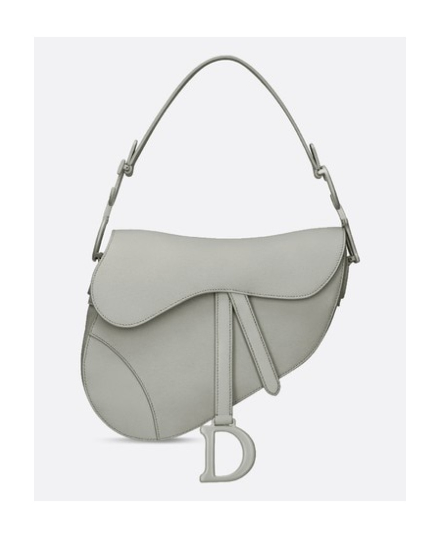 Dior Matte Saddle Shoulder Bag In Gray