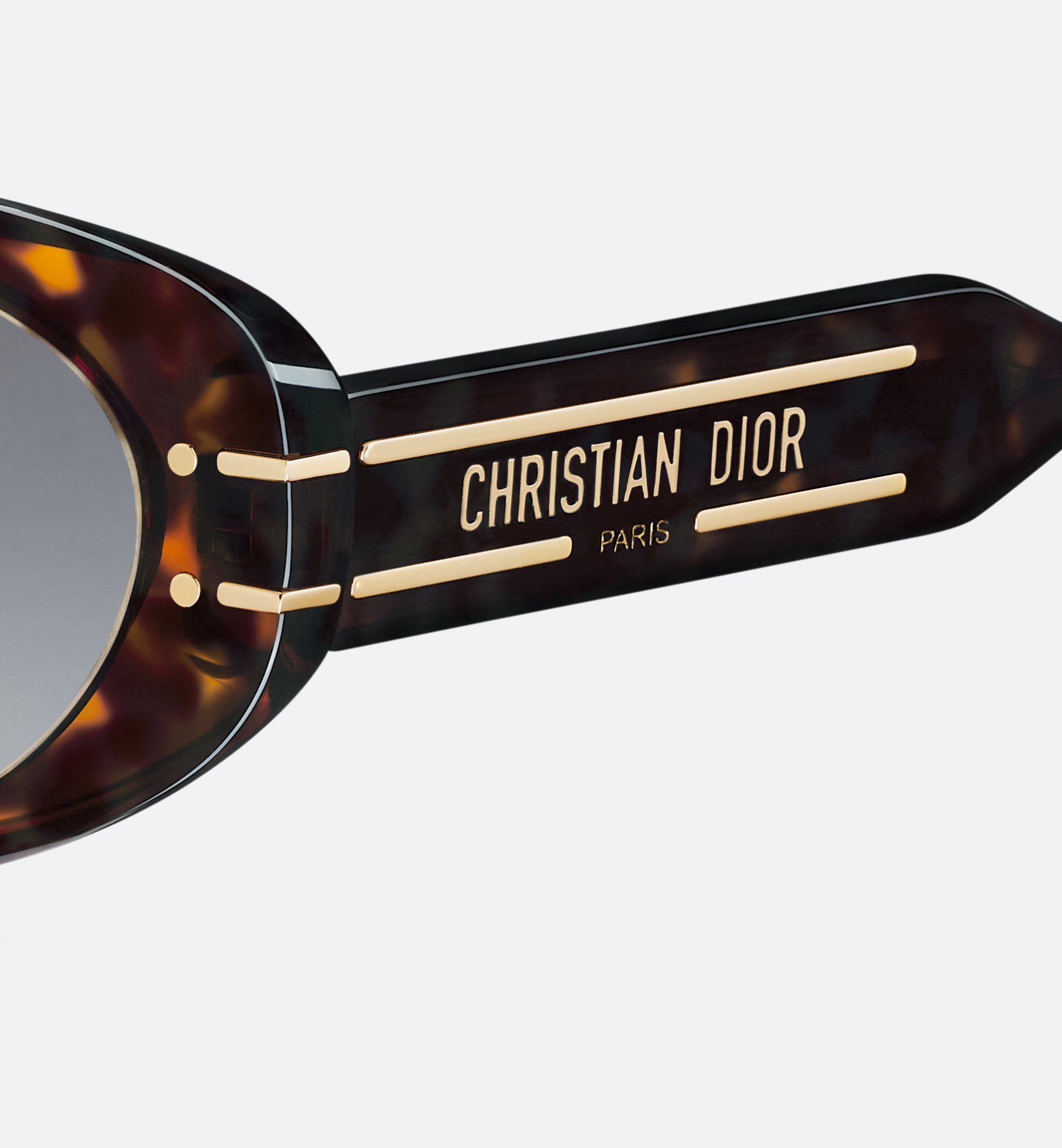 Dior Signature B8u Sunglasses In Gray
