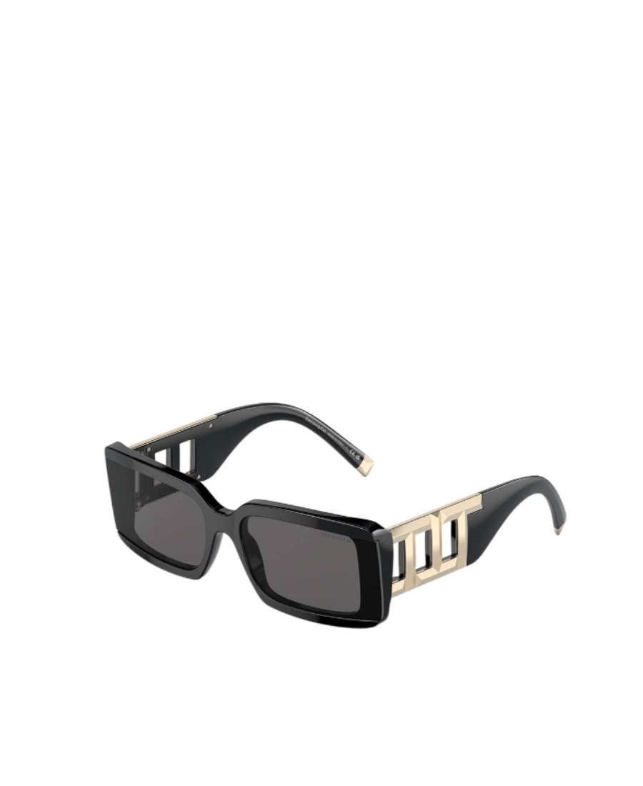 Tiffany & Co Tf4197 Rectangle-frame Acetate Sunglasses In Black