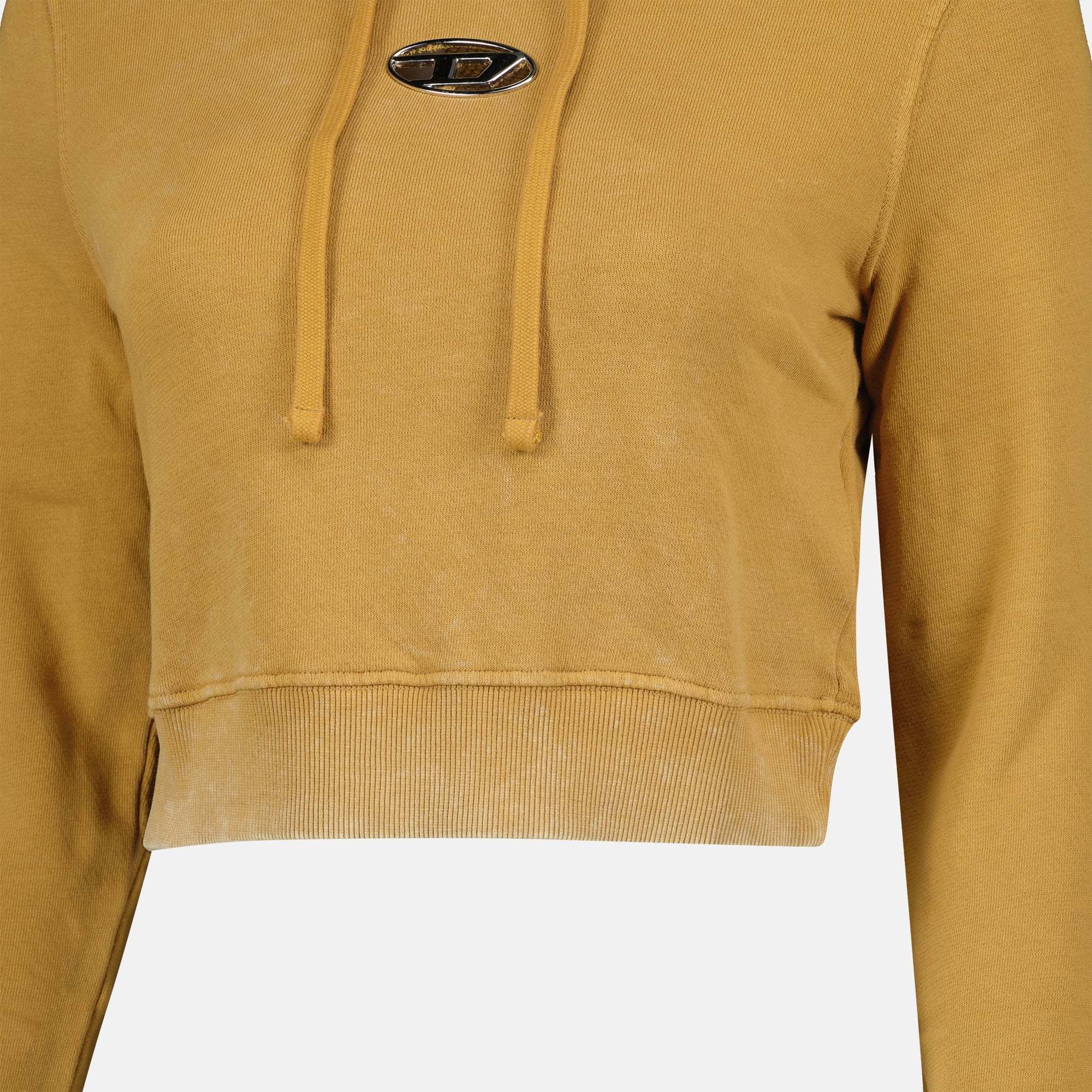 Diesel Hooded Sweater In Brown