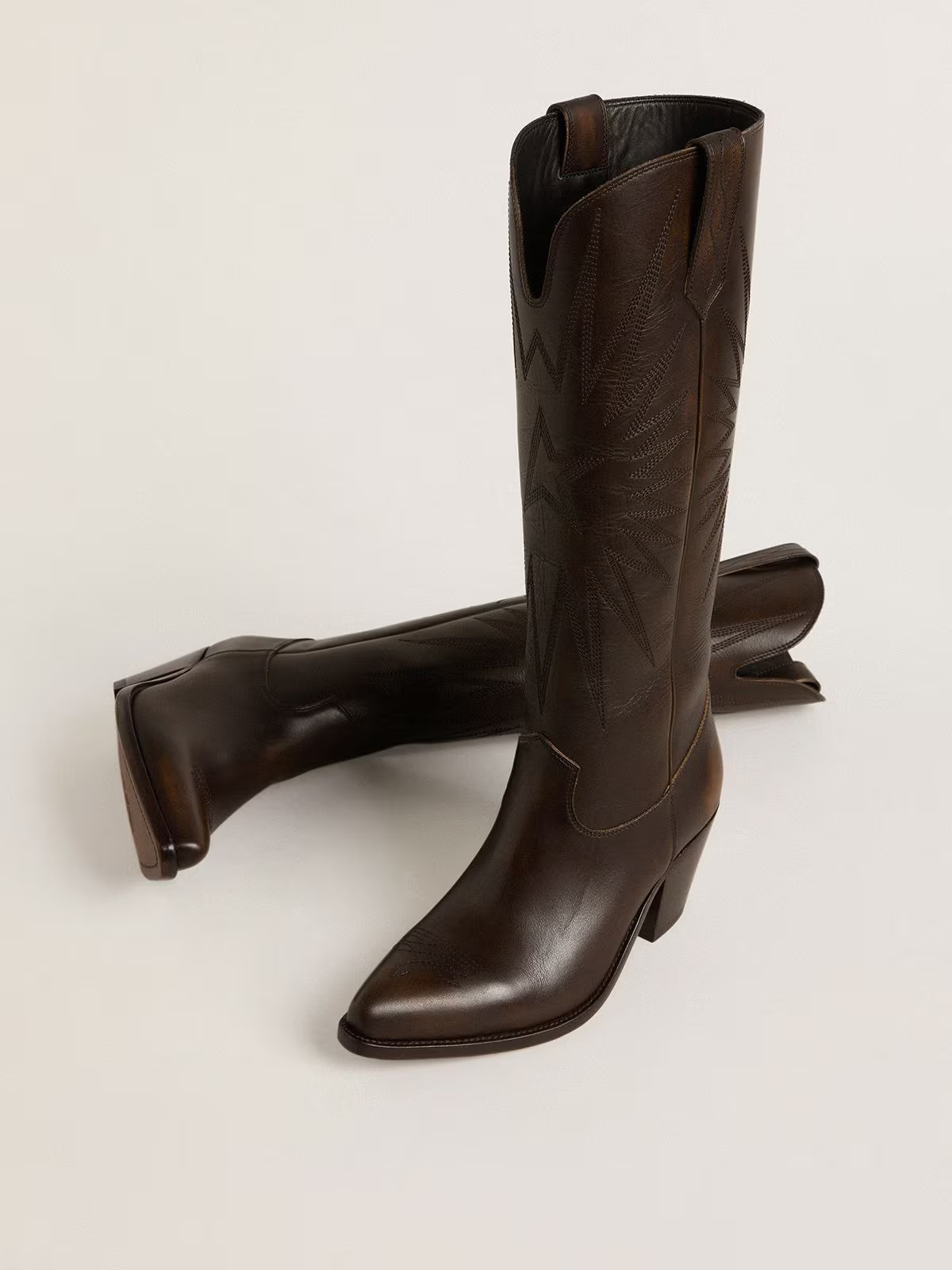 Golden Goose Pointed-toe Boots In Brown