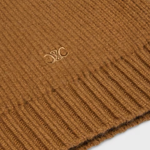 Celine V-neck Sweater In Cashmere In Brown