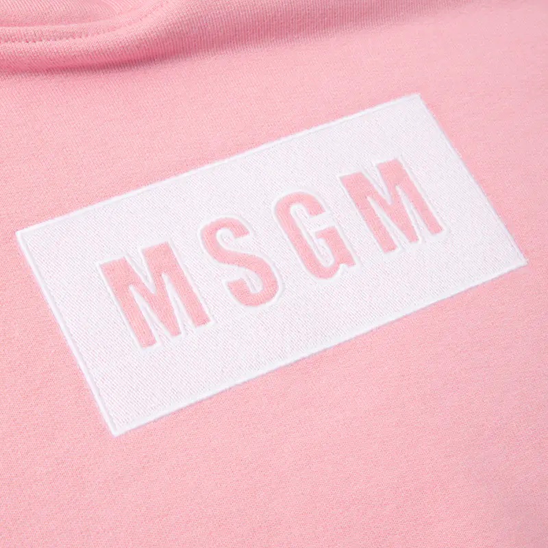 Msgm Logo Printed Hooded Sweater In Pink