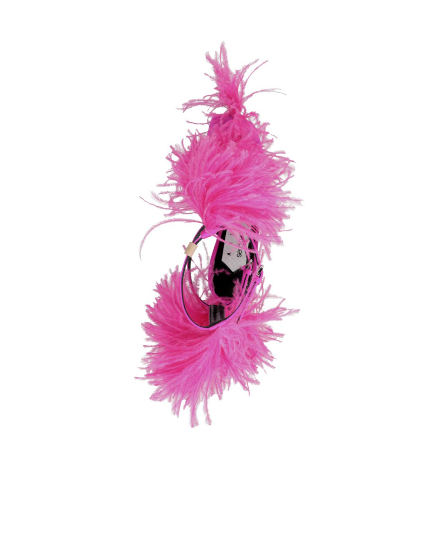 Sergio Rossi Fuchsia Amazona Heels In Pink
