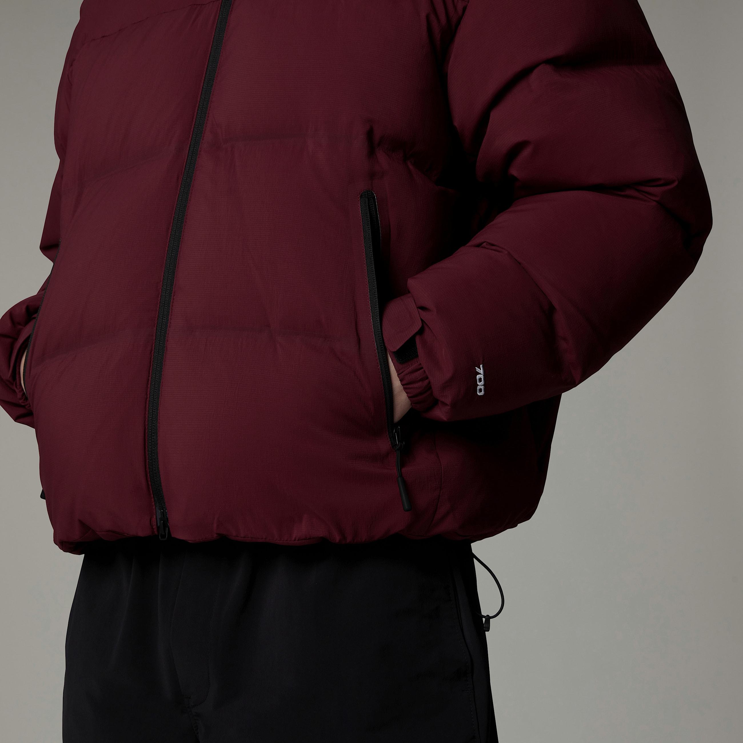 The North Face Long-sleeved Down Jacket In Brown