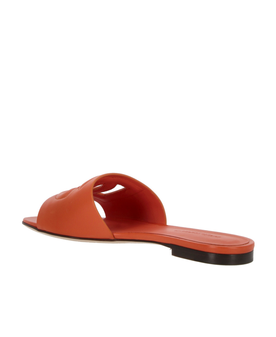 Dolce & Gabbana Dg Millennials Logo Slides In Brown
