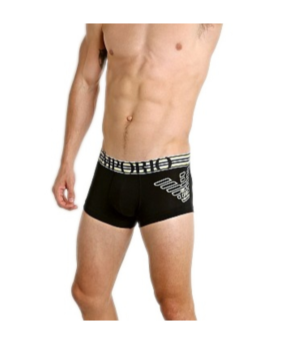 EMPORIO ARMANI LOGO DETAIL PANTIES