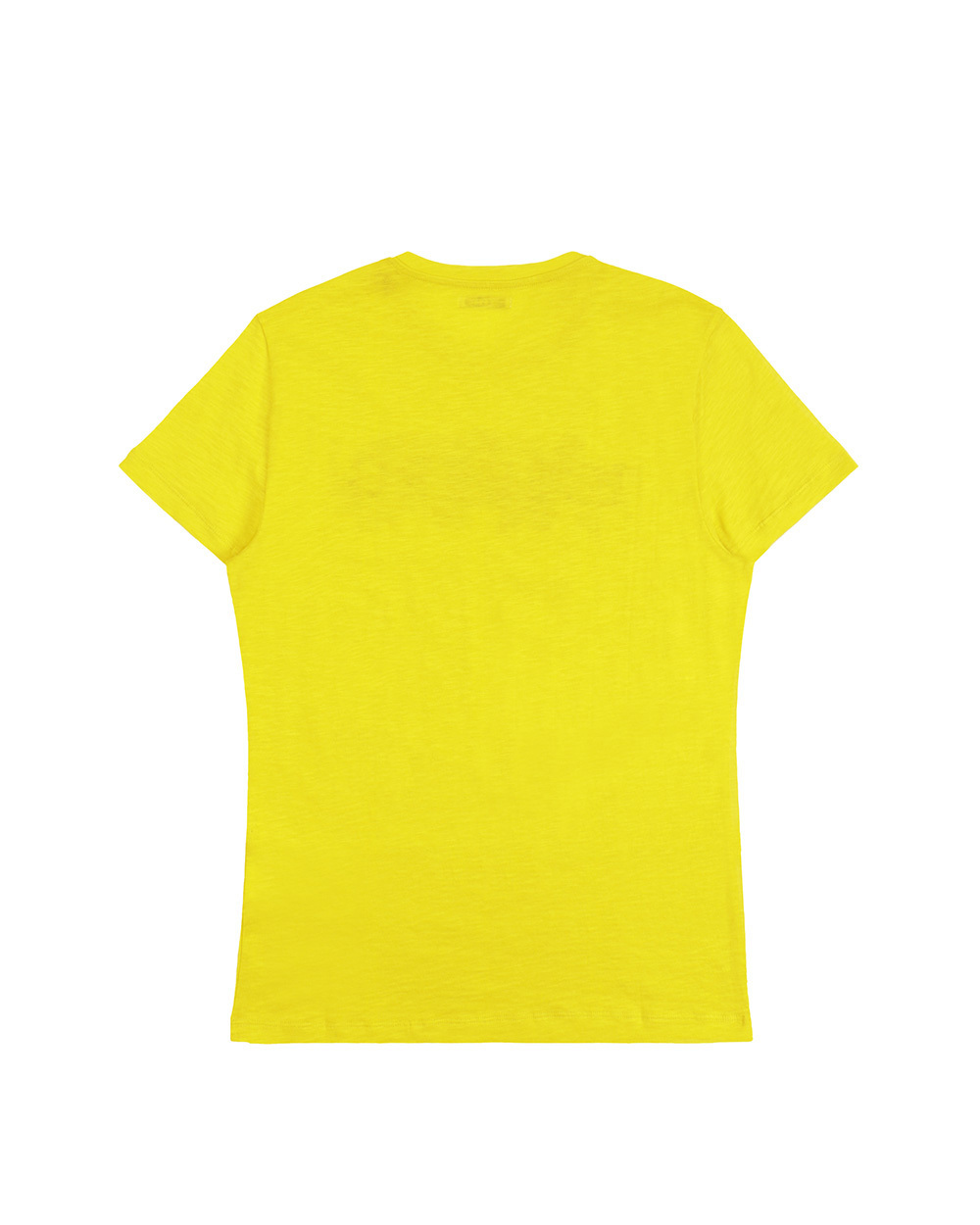 Iceberg Printed T-shirt In Yellow