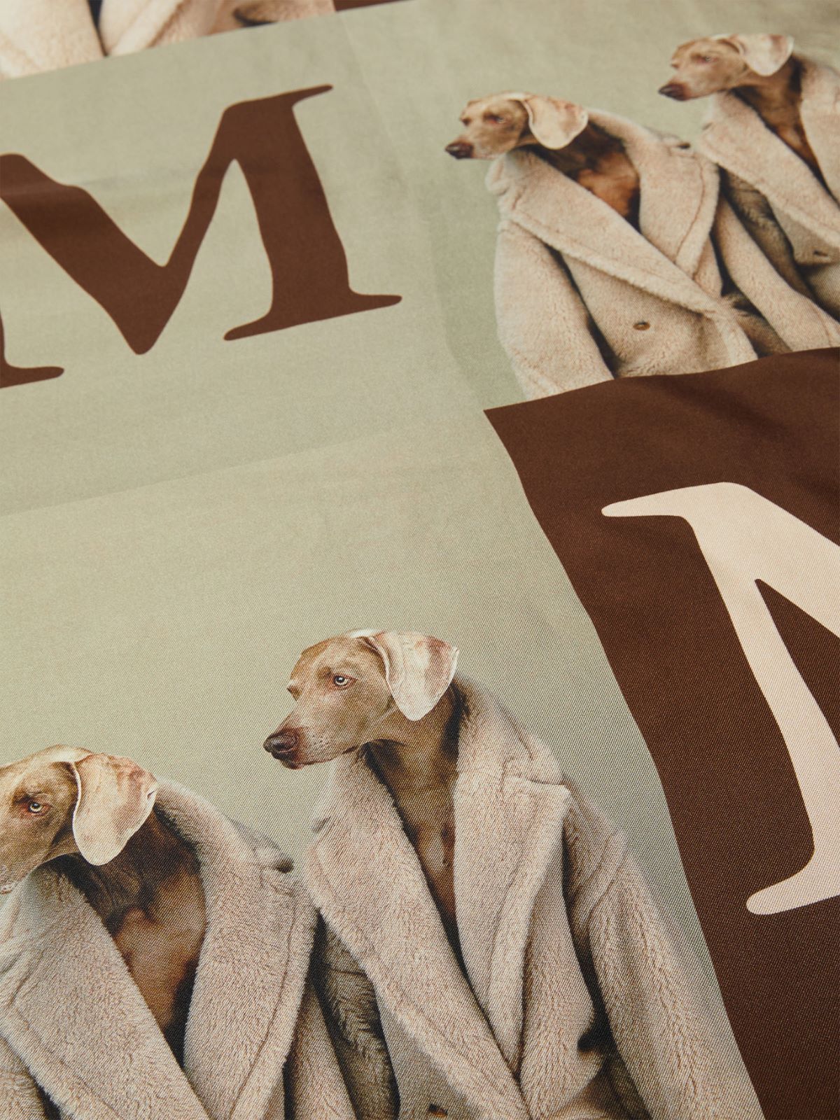Max Mara Printed Scarf In Multicolor
