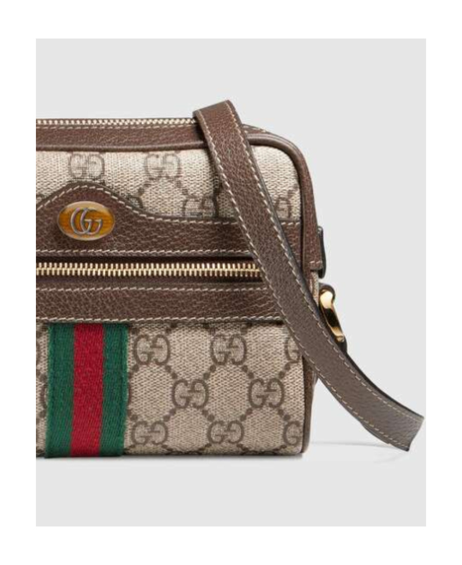 Gucci Ophidia Gg Supreme Mini Bag In Brown