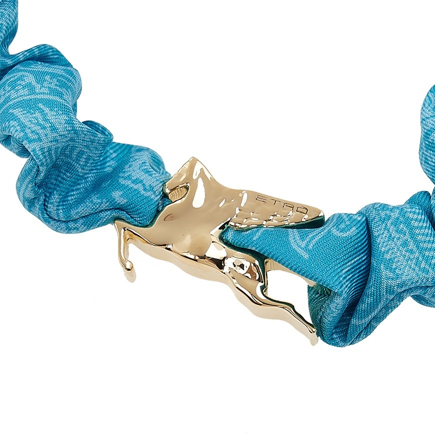 Etro Logo Hair Accessories In Blue