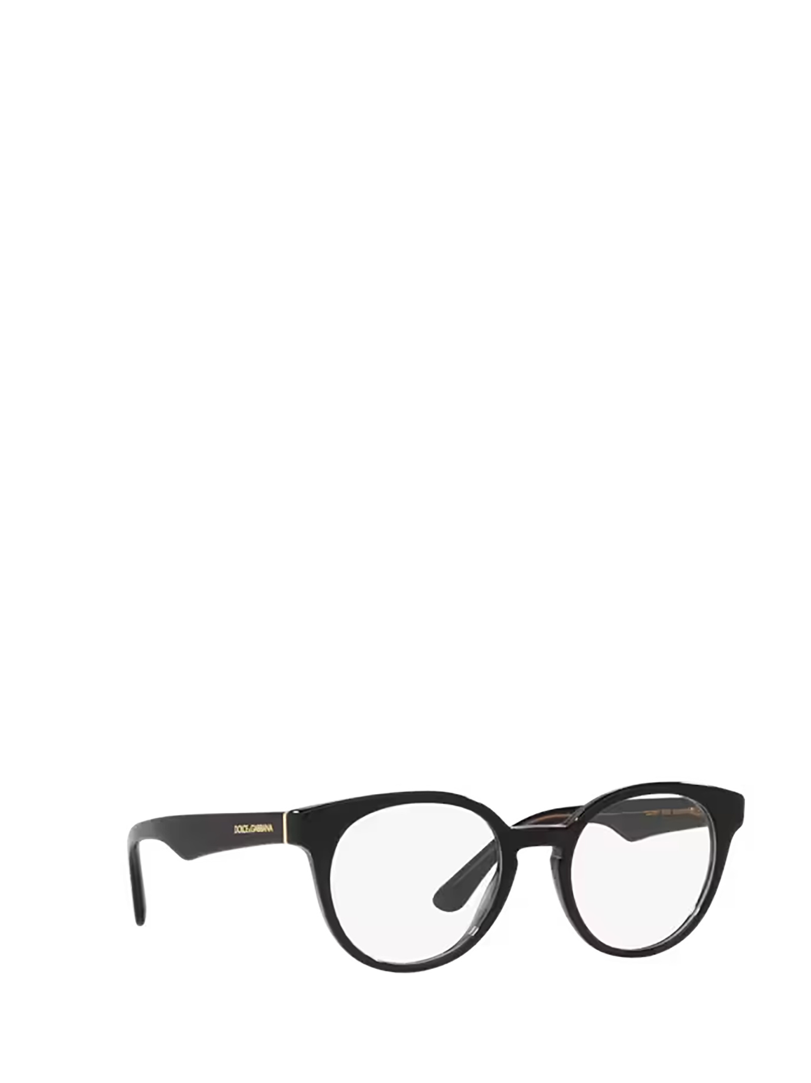 Dolce & Gabbana Round Frame Glasses In Black