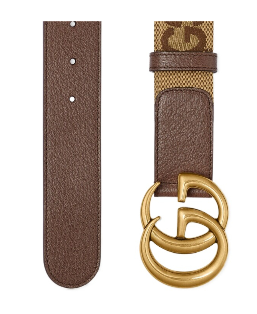 Gucci Logo-plaque Buckle-fastening Belt In Brown