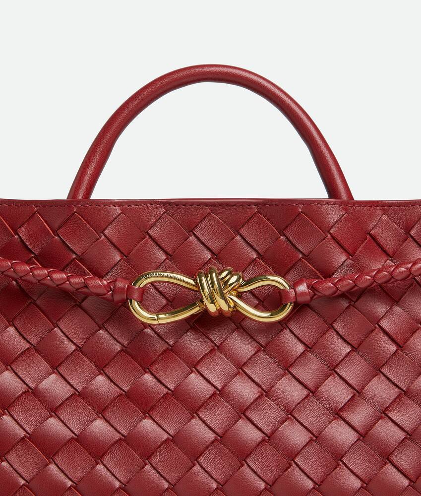 Bottega Veneta Andiamo East-west Rosewood Bag In Red