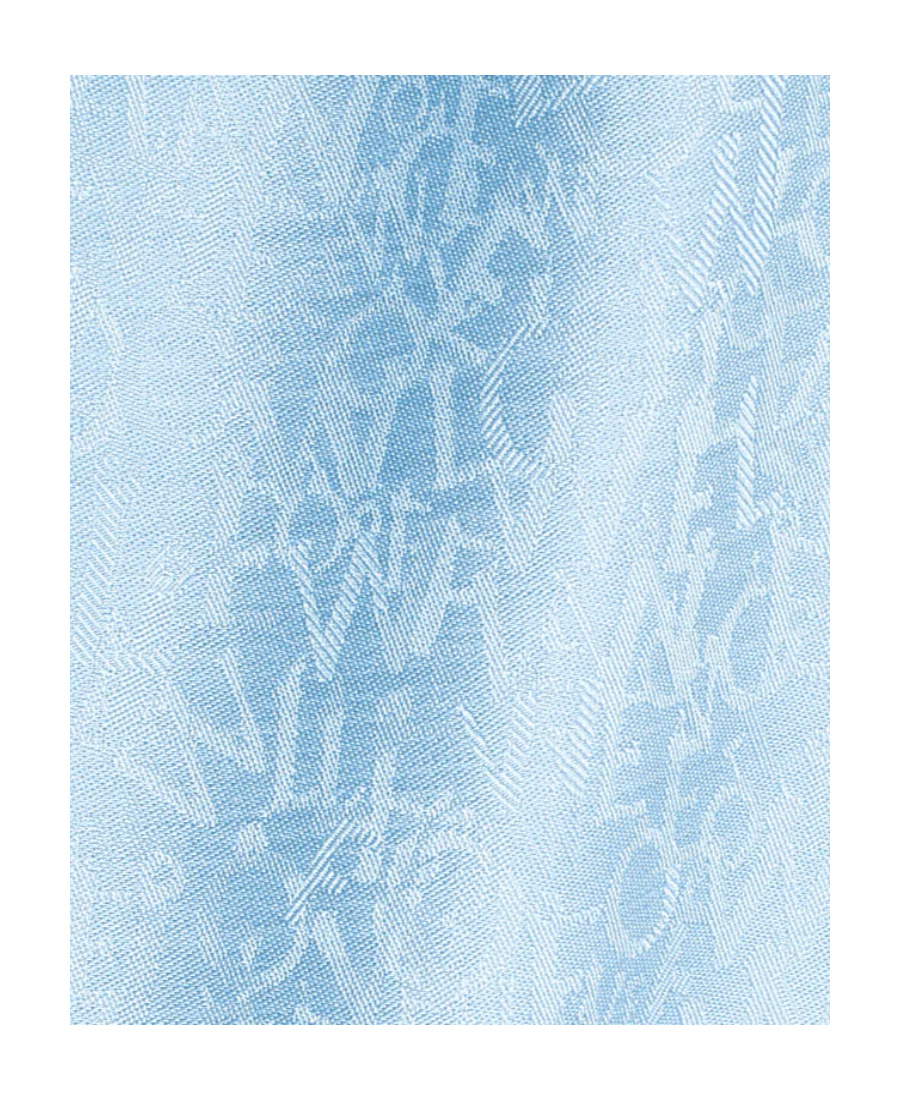 Loewe Logo Scarf In Blue