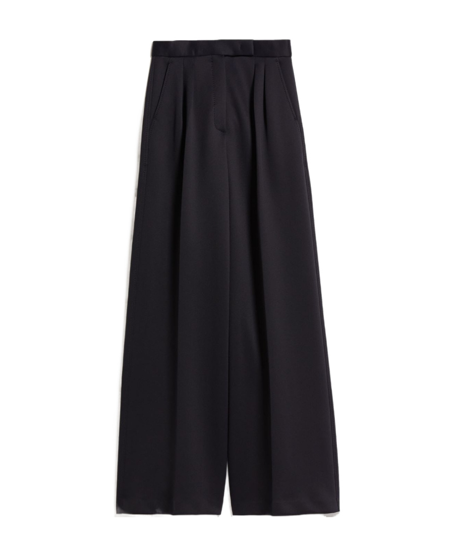 Max Mara Zinnia Pleat Detailed High Waist Pants In Black