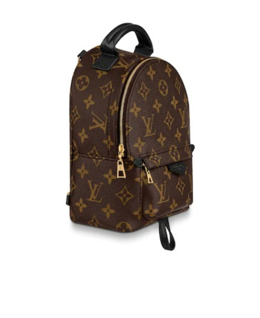 Pre-owned Louis Vuitton 2020 Mini Palm Springs Backpack In Brown