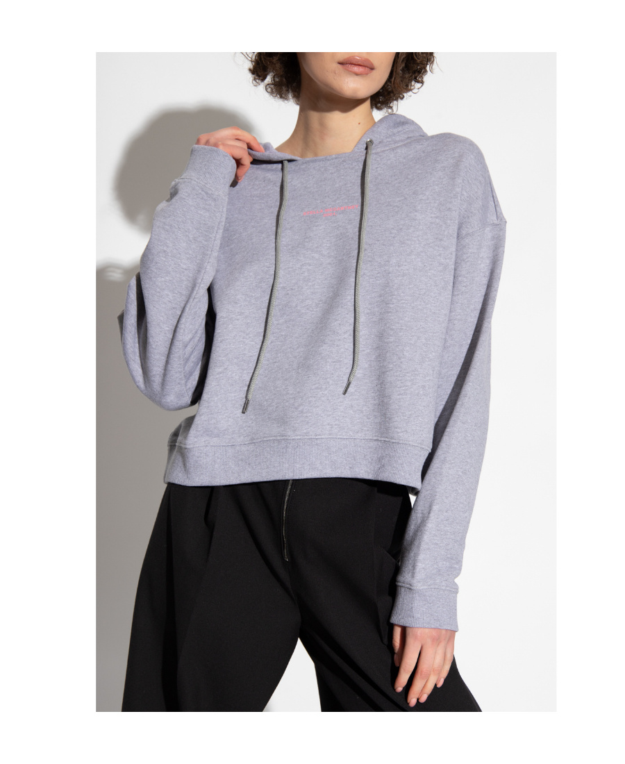 Stella Mccartney Sweatshirt With Logo Embroidery In Gray