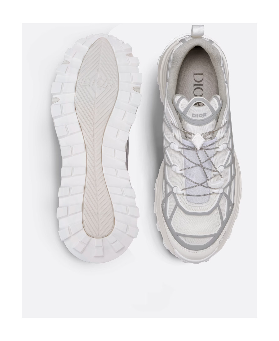 Shop Dior B31 Low-top Leisure Sneakers In Gray