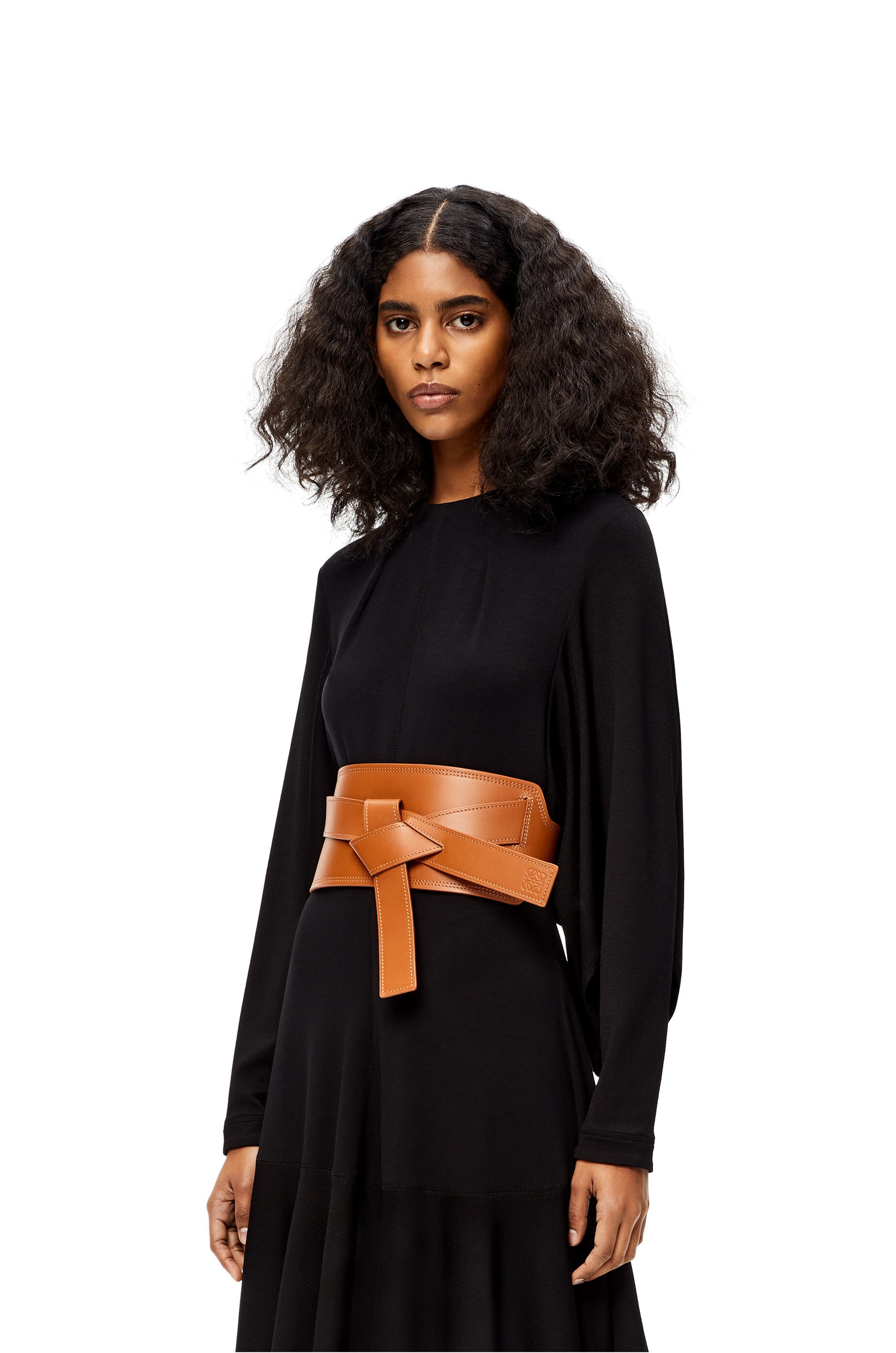 Loewe Gate Wide Belt In Brown