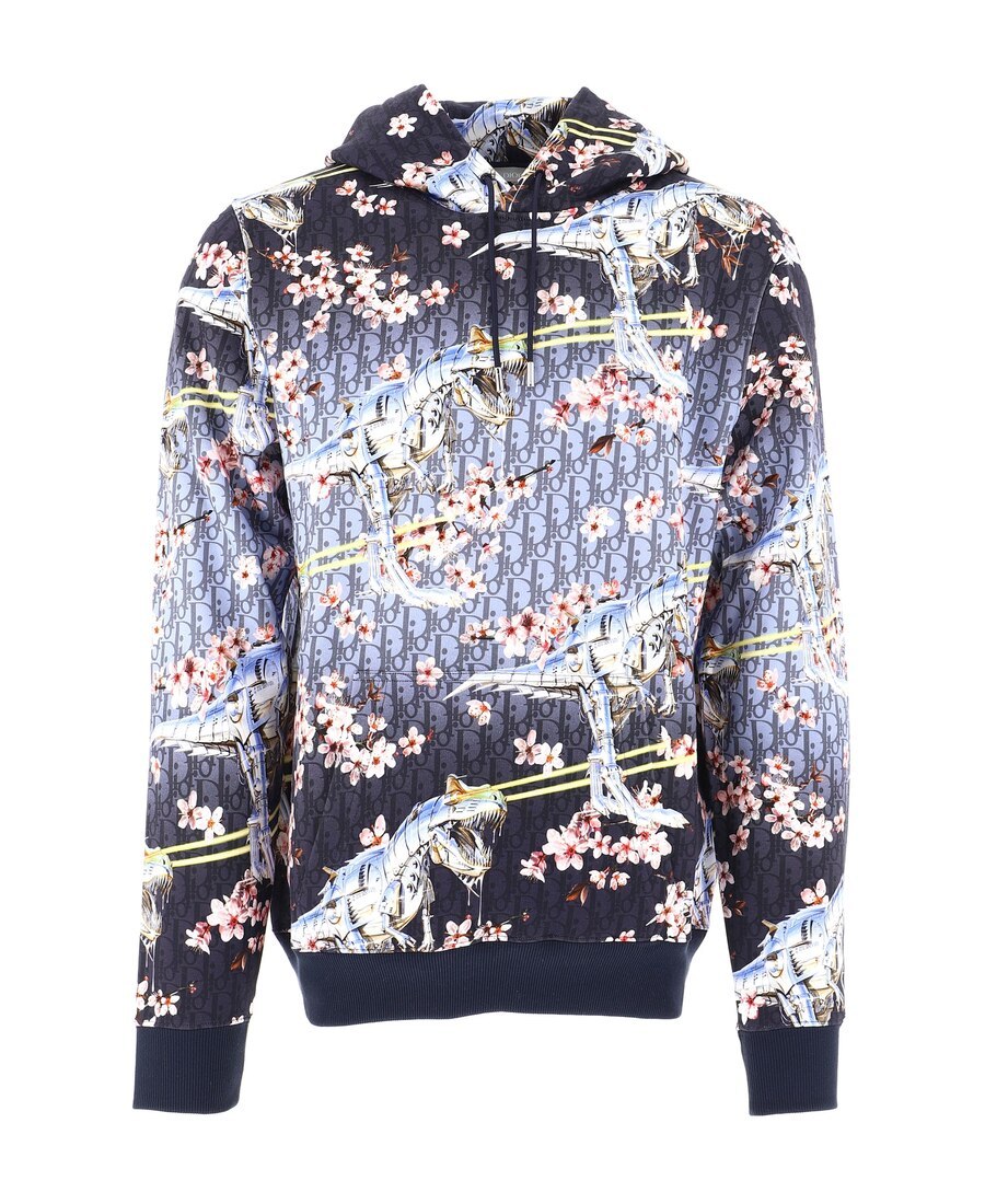 Dior Kongshanji Co-branded Hooded Hooded Sweater In Multicolor