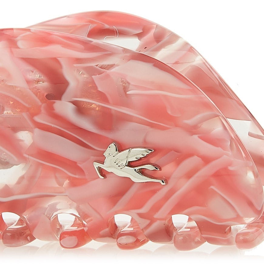 Etro Logo Hair Accessories In Pink