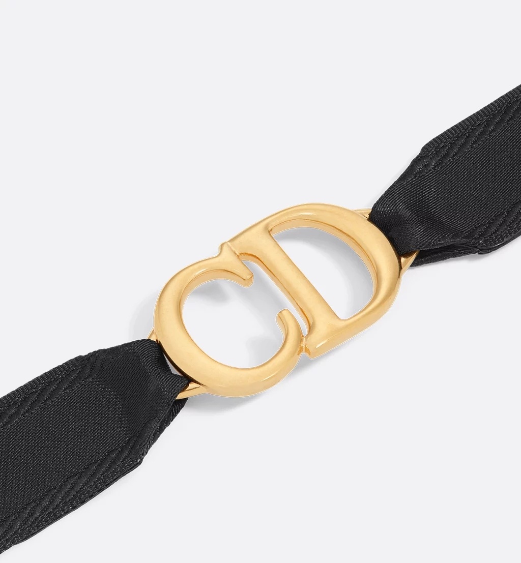 Dior Saddle Choker In Black