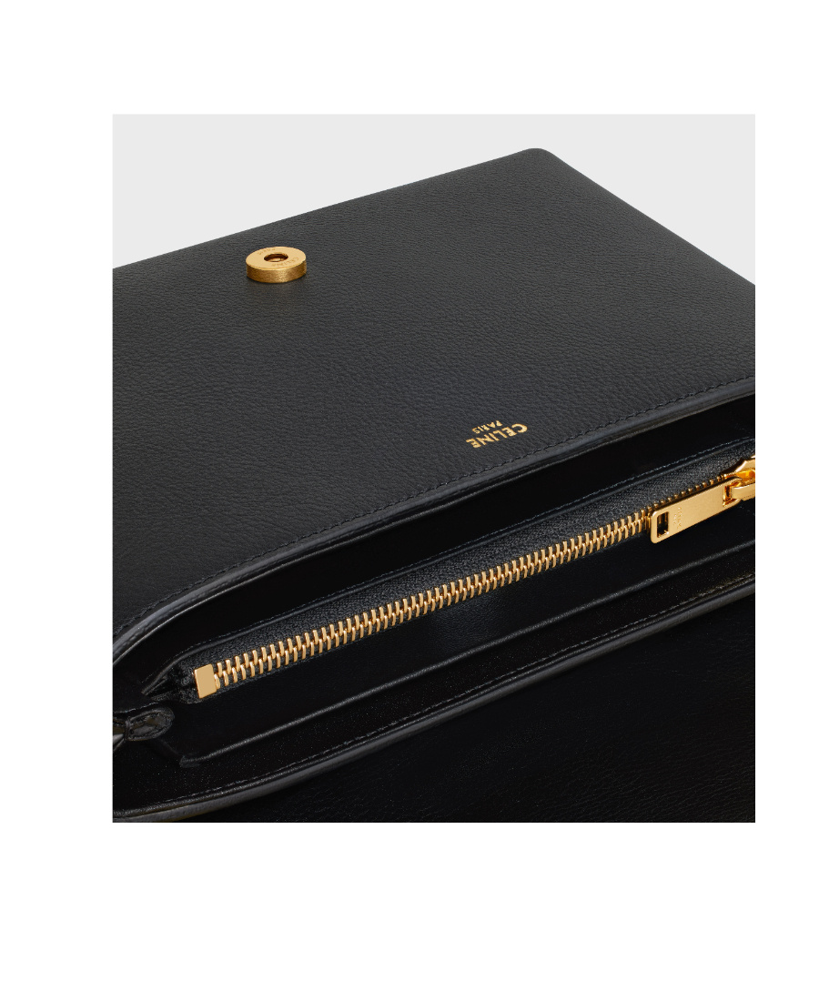 Celine Women's Victoire Medium Bag In Brown