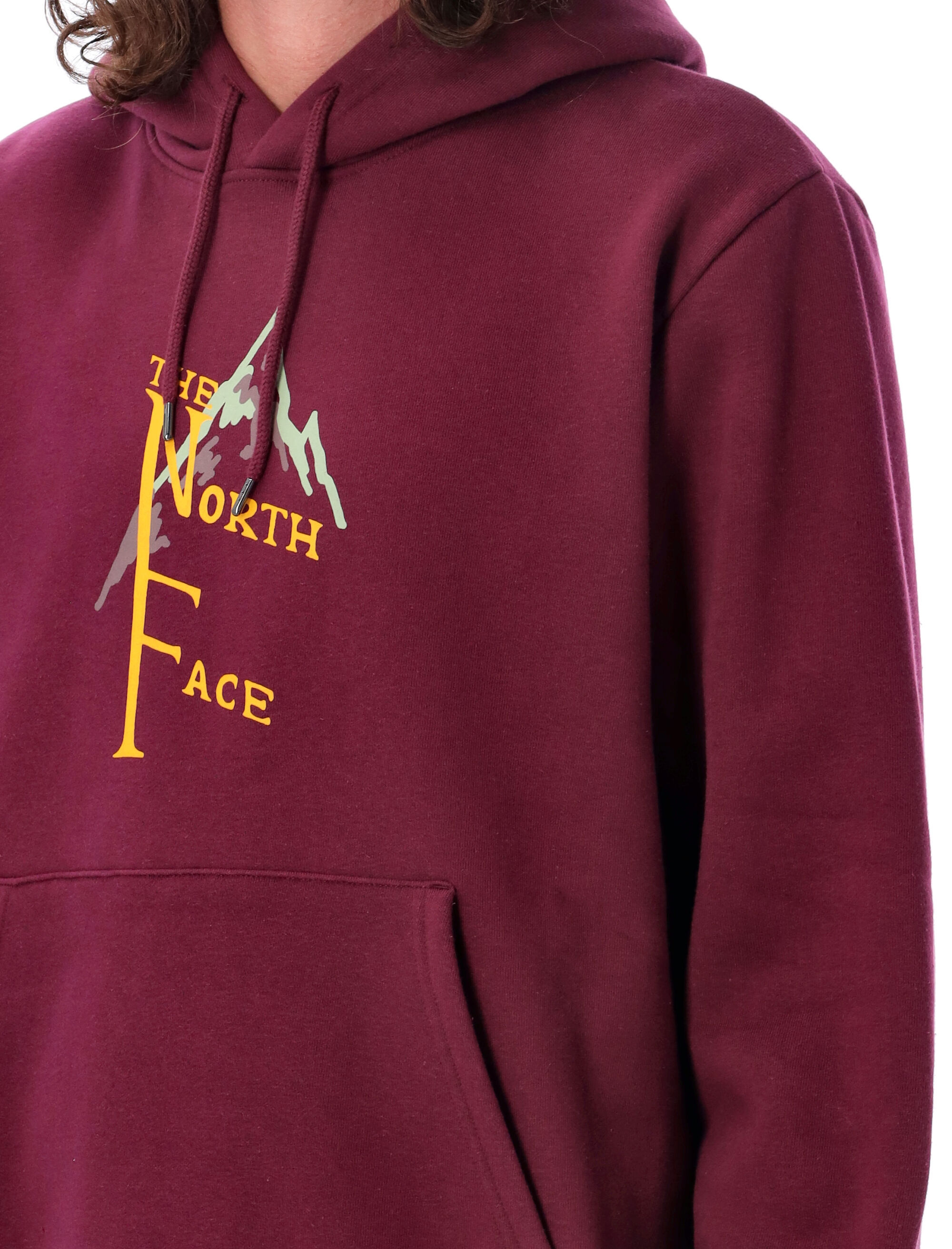 The North Face Letter Hooded Sweater In Red