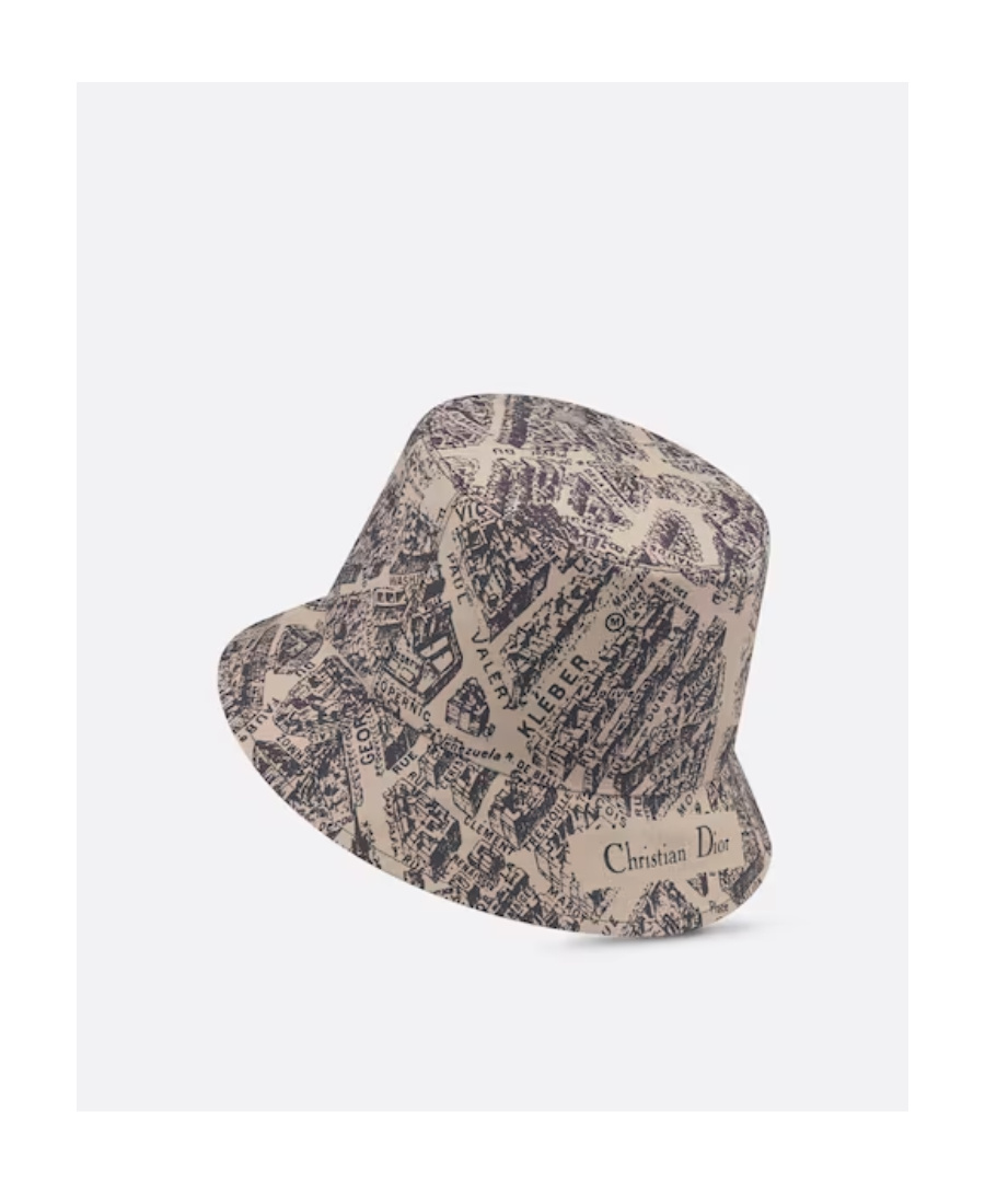 Dior Teddy-d Plan De Paris Reversible Small Brim Bucket Hat In Black