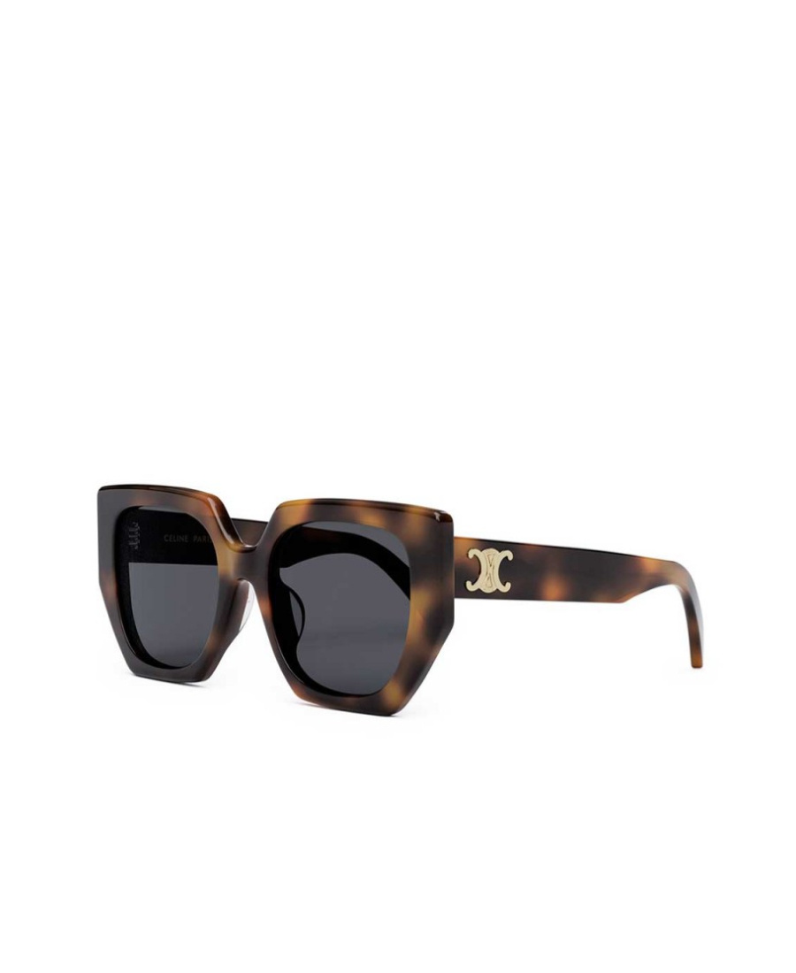 Celine Logo Sign Extra-large Frame Sunglasses In Brown