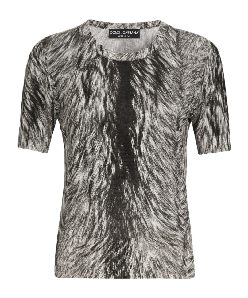 Shop Dolce & Gabbana Short Sleeve Sweater In Pelliccia Fdo.grigio