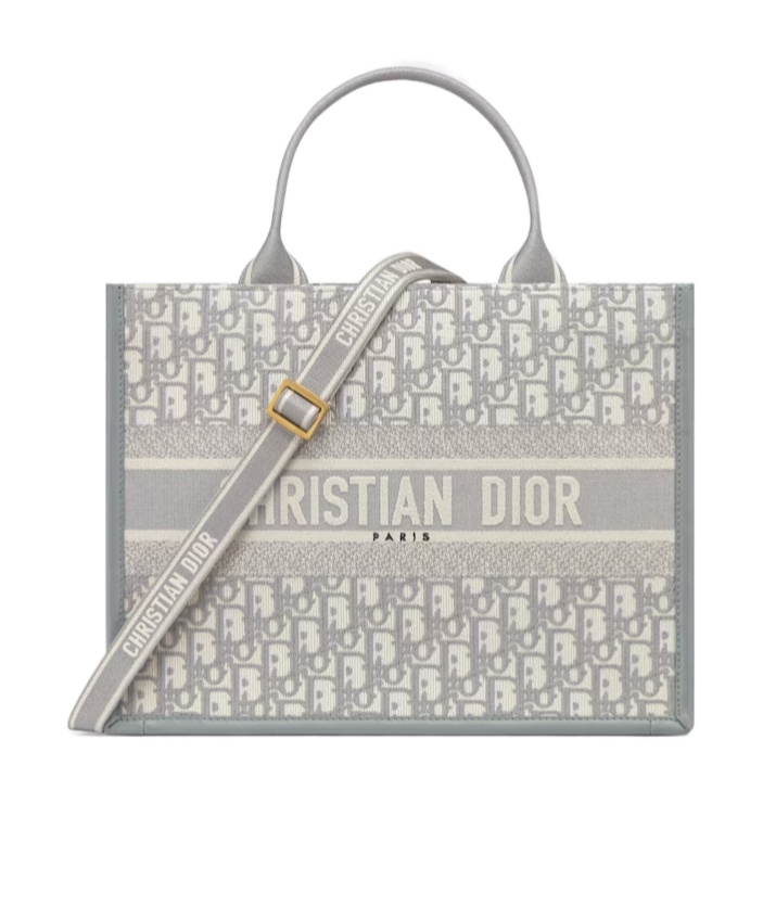 Dior Medium Book Tote Shoulder Bag In Gray