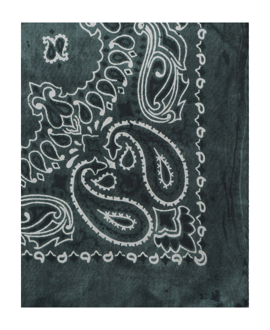 Golden Goose Paisley Printed Scarf In Green