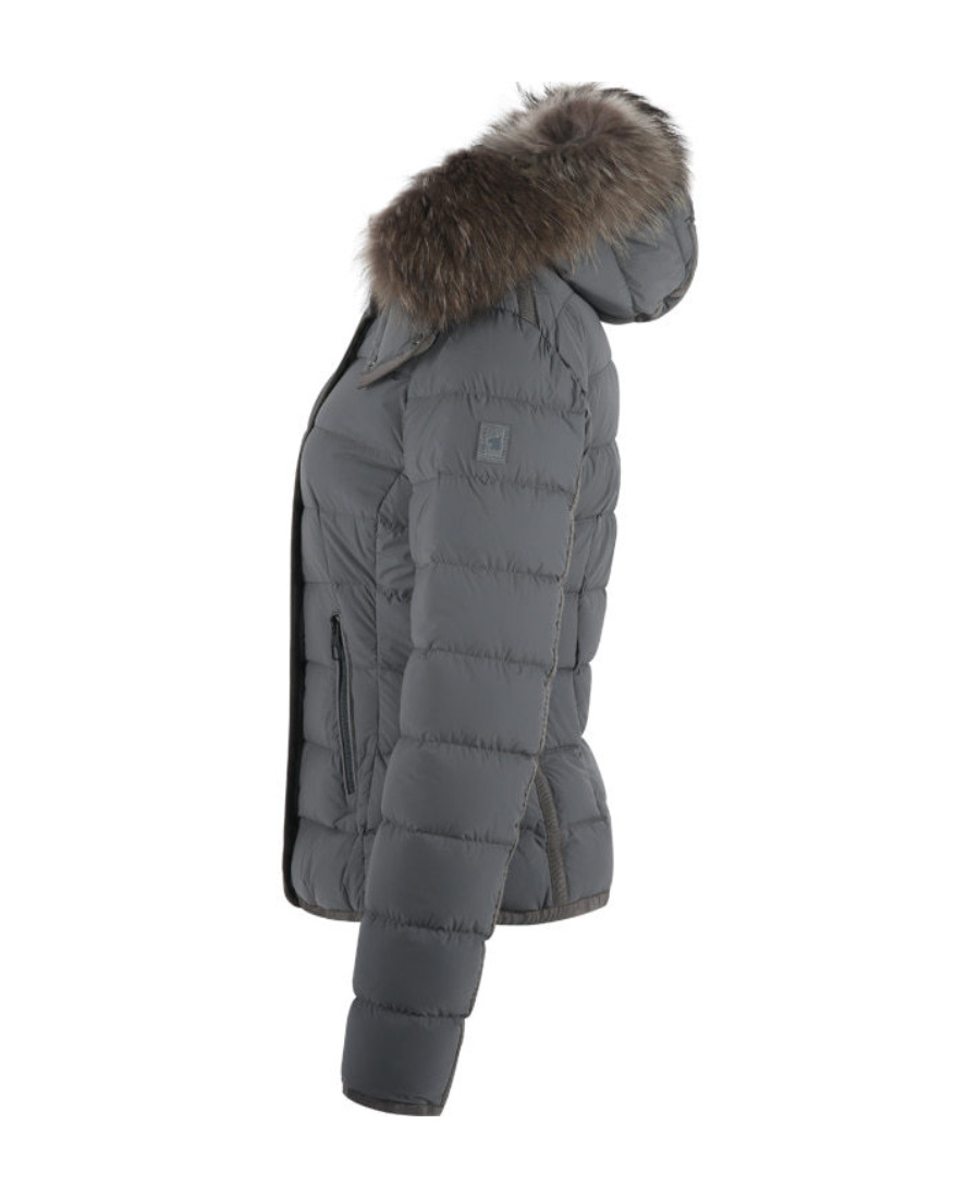 Montecore Padded Hooded Jacket In Gray