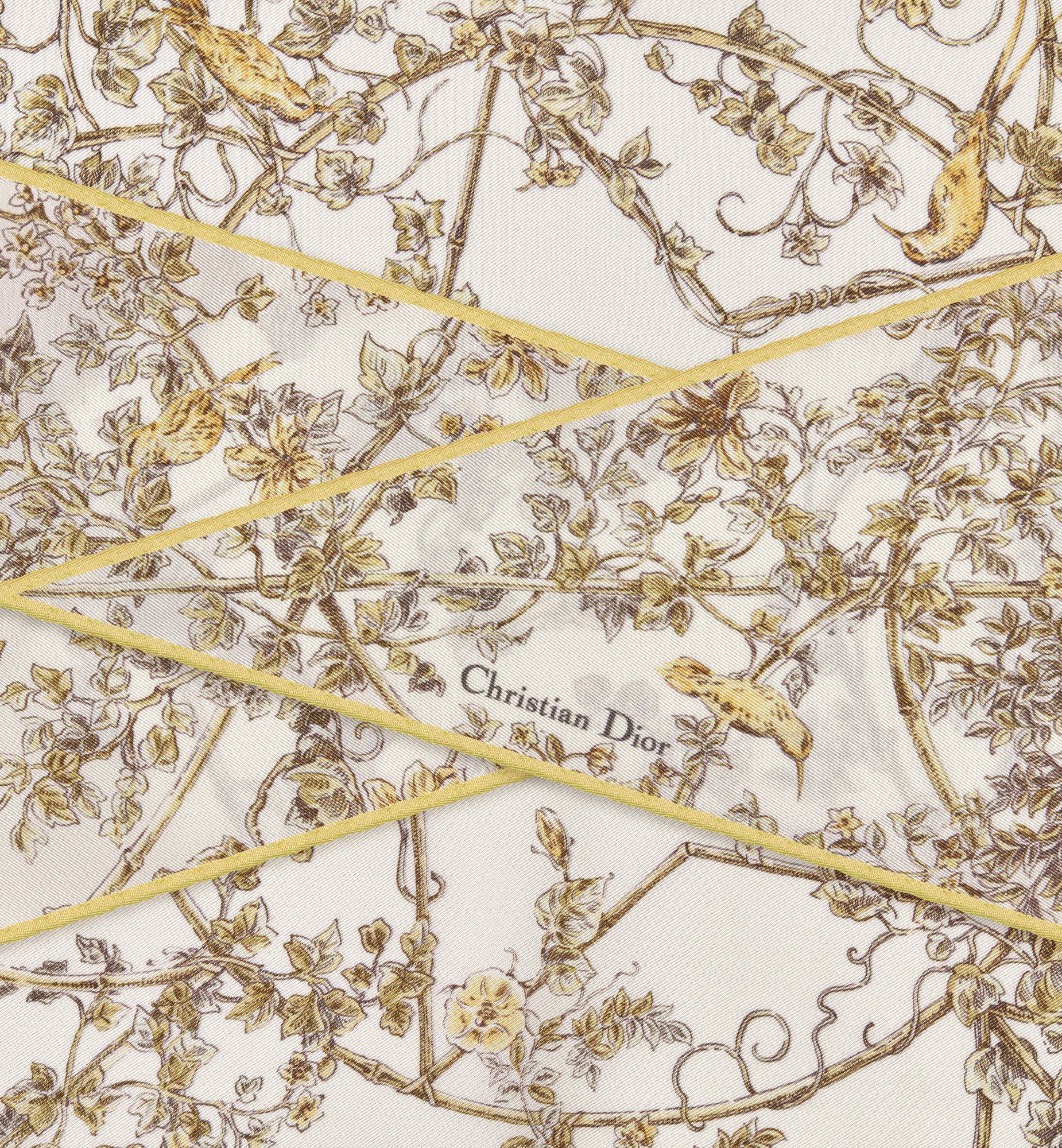 Dior Pattern Scarf In Neutral