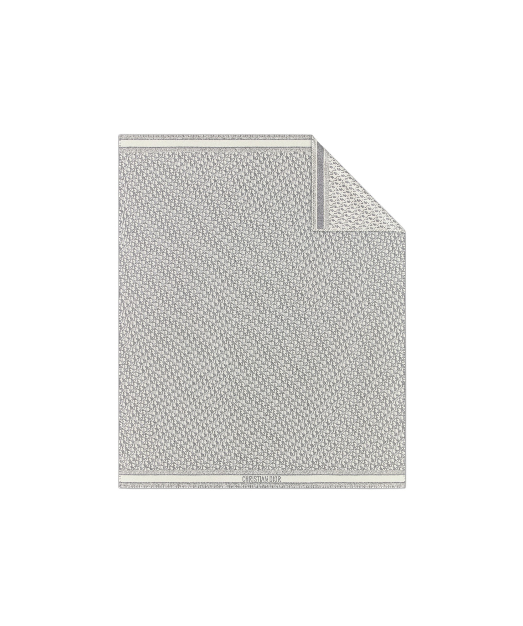 Dior Printed Carpet In Gray