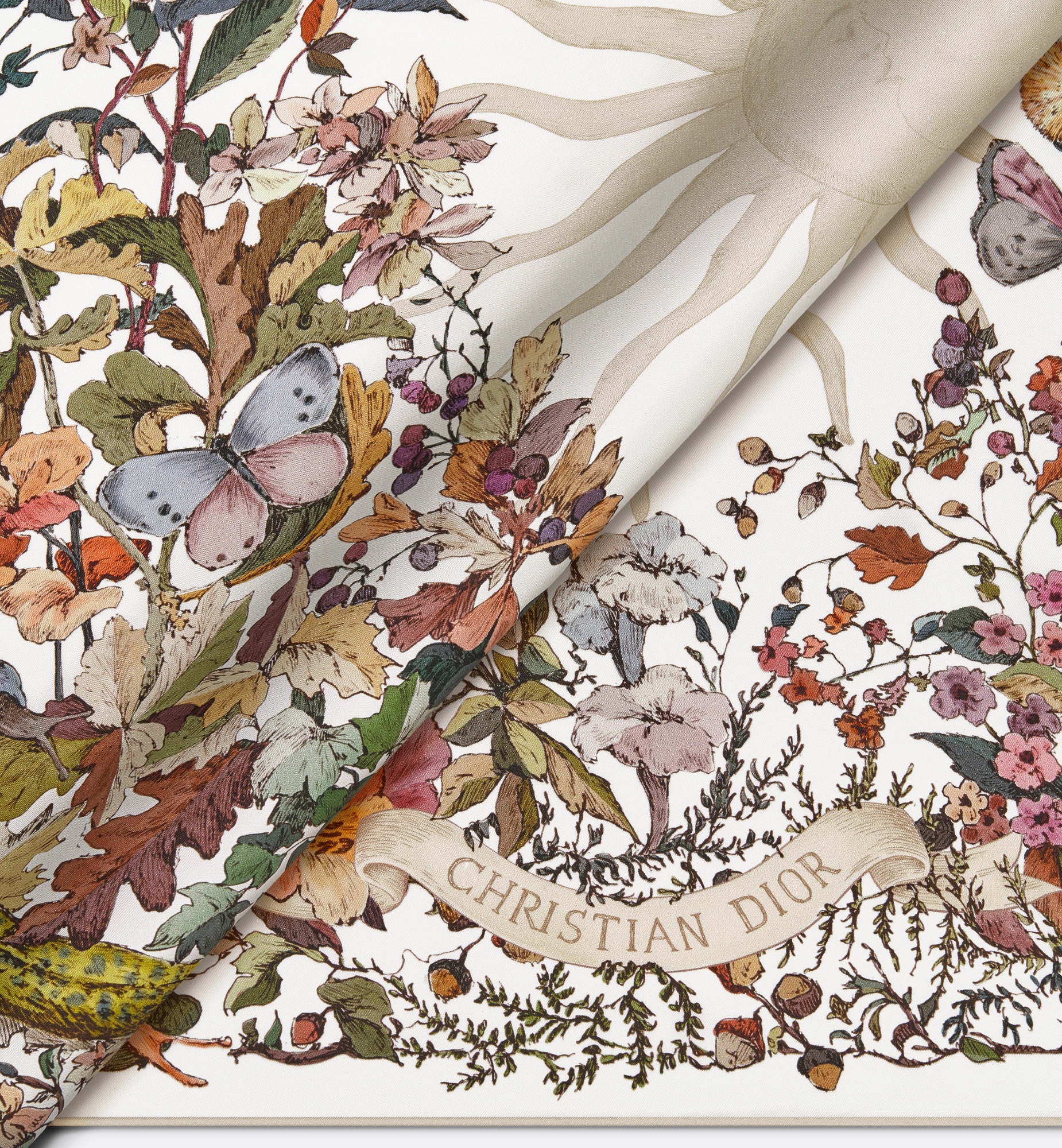 Dior Double-sided Printed Silk Scarf In Multicolor