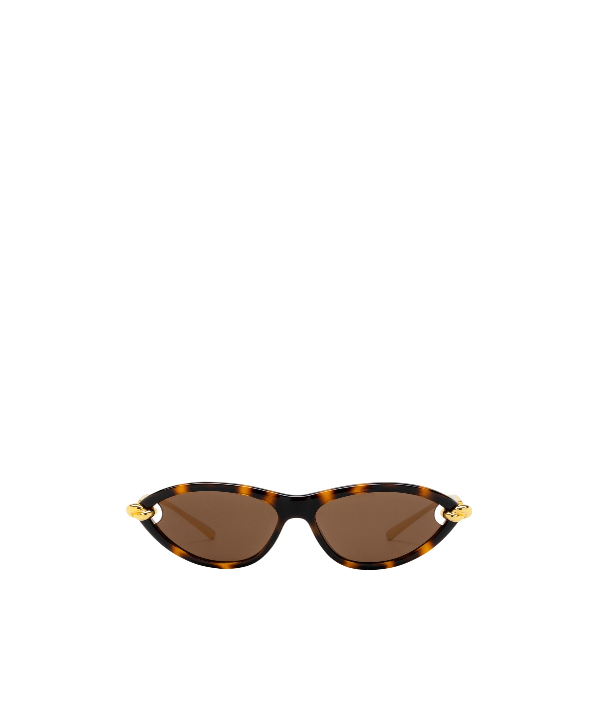 Bottega Veneta Cat-eye Sunglasses In Brown