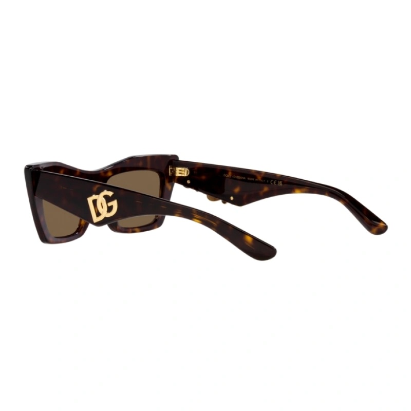 Dolce & Gabbana Dg4435 Cat-eye Frame Acetate Sunglasses In Brown